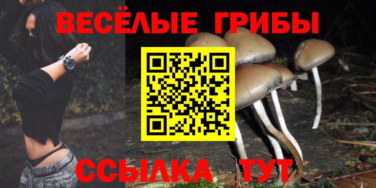 Псилоцибиновые грибы мухоморы  Вход с VPN  цены   Кимры  Псилоцибиновые грибы Magic Shrooms 