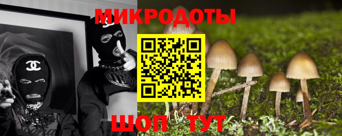 Псилоцибиновые грибы мухоморы Кимры